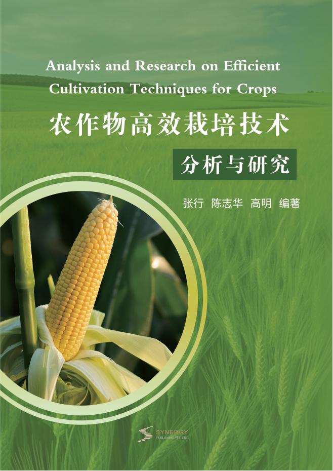 现代化工工艺设计与技术探索