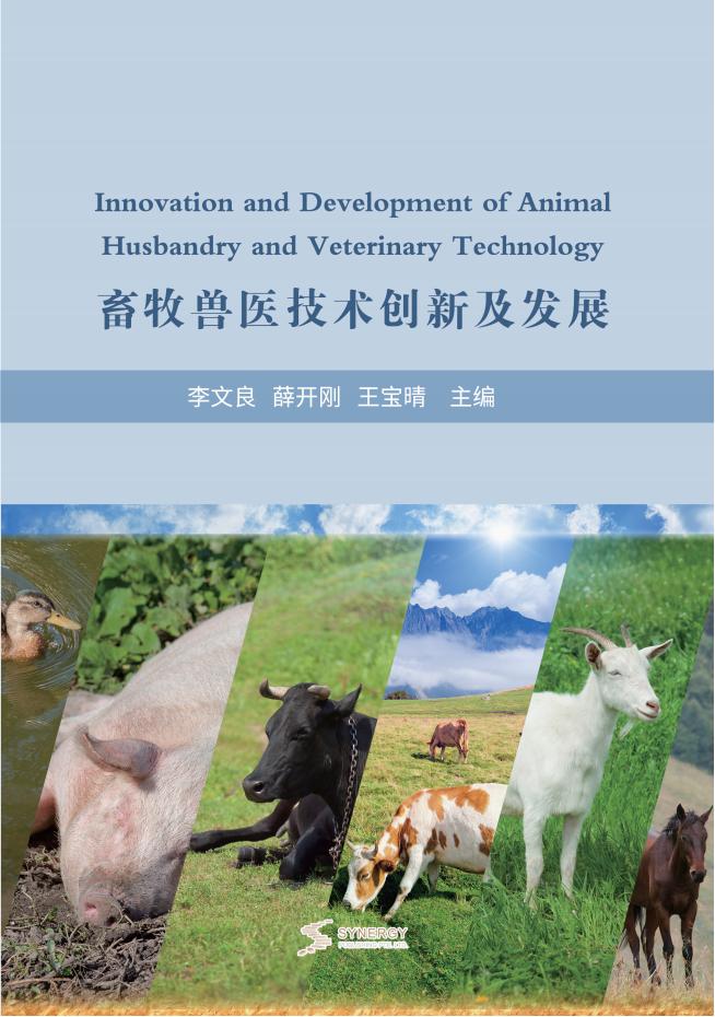 化学教学研究与实践