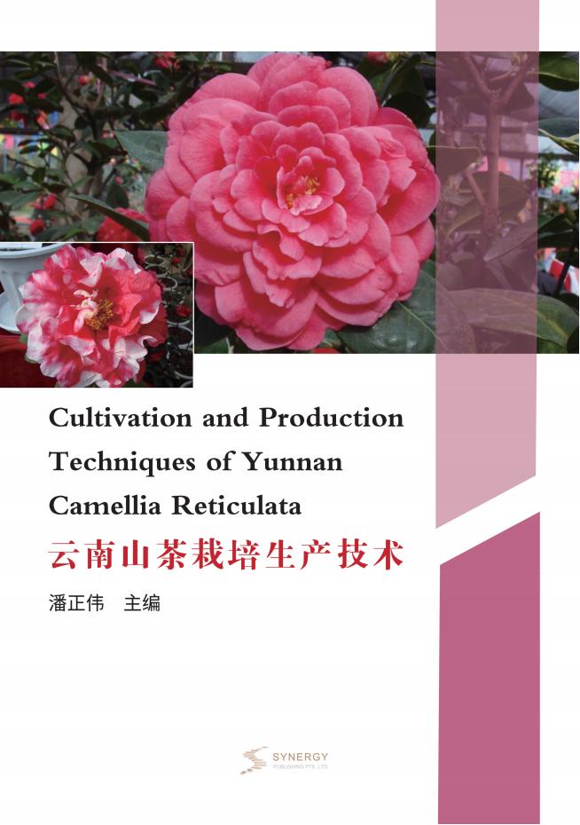 云南山茶栽培生产技术